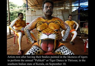 Artists rest after having their bodies painted in the likeness of tigers 
to perform the annual "Pulikali" or Tiger Dance in Thrissur, in the 
southern Indian state of Kerala, on September 10. 
 