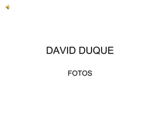 DAVID DUQUE

   FOTOS
 