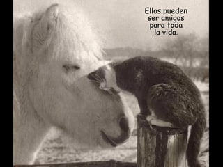 Ellos pueden ser amigos para toda la vida . 