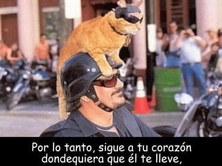 Por lo tanto, sigue a tu corazón dondequiera que él te lleve , 