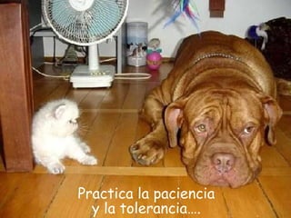 Practica la paciencia y la tolerancia…. 