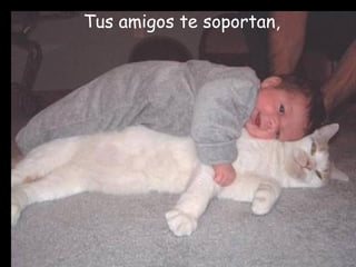 Tus amigos te soportan , 