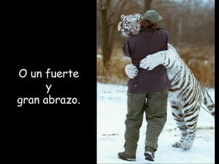 O un fuerte y gran abrazo . 
