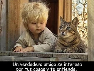 Un verdadero amigo se interesa por tus cosas y te entiende ,   