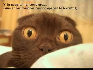 Y te aceptan tal como eres….. (Aún en las mañanas cuando apenas te levantas) 