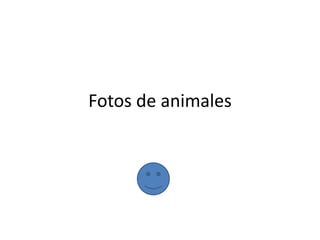 Fotos de animales
 