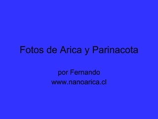 Fotos de Arica y Parinacota por Fernando www.nanoarica.cl 