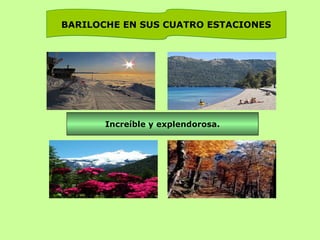 BARILOCHE EN SUS CUATRO ESTACIONES




       Increíble y explendorosa.
 