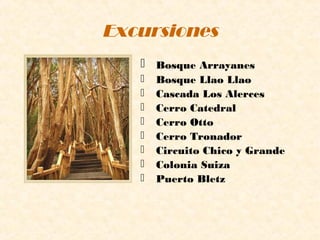 Excursiones
    Bosque Arrayanes
      Bosque Llao Llao
      Cascada Los Alerces
      Cerro Catedral
      Cerro Otto
      Cerro Tronador
      Circuito Chico y Grande
      Colonia Suiza
      Puerto Bletz
 