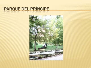 PARQUE DEL PRÍNCIPE