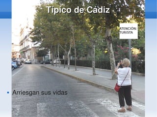    
Típico de CádizTípico de Cádiz
 Arriesgan sus vidas
 