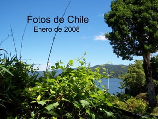 Fotos de Chile Enero de 2008 