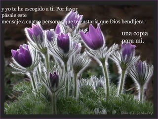 y yo te he escogido a ti. Por favor  pásale este mensaje a cuatro personas que te gustaría que Dios bendijera  y  una copia para mí. 