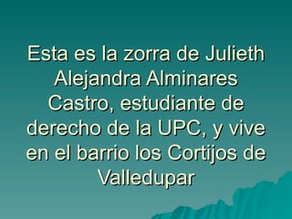 Esta es la zorra de Julieth Alejandra Alminares Castro, estudiante de derecho de la UPC, y vive en el barrio los Cortijos de Valledupar 
