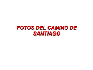 FOTOS DEL CAMINO DE
     SANTIAGO
 