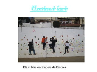 Elrocòdromdel'escola
Els millors escaladors de l'escola
 