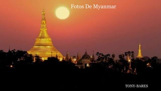 Fotos De Myanmar
TONY-BARES
 