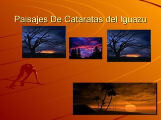 Paisajes De Cataratas del Iguazu
 