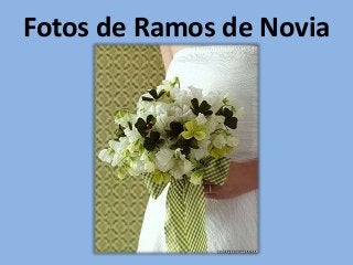 Fotos de Ramos de Novia
Originales

 