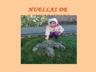 HUELLAS DE
DINOSAURIOS
 