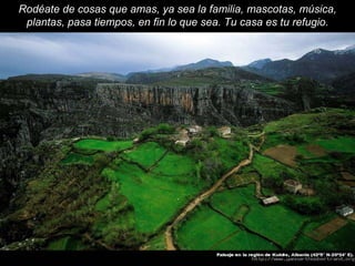 Rodéate de cosas que amas, ya sea la familia, mascotas, música, plantas, pasa tiempos, en fin lo que sea. Tu casa es tu refugio. 