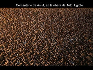 Cementerio de Asiut, en la ribera del Nilo, Egipto
 