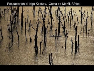 Pescador en el lago Kossou. Costa de Marfil, África.
 