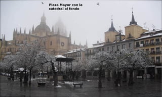 Plaza Mayor con la
catedral al fondo
 