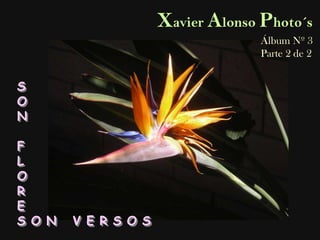 Xavier Alonso Photo´s Álbum Nº 3 Parte 2 de 2 S O N F L O R E S O N   V E R S O S 