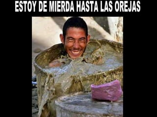 ESTOY DE MIERDA HASTA LAS OREJAS 