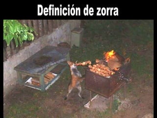 Definición de zorra 