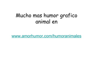 Mucho mas humor grafico animal en www.amorhumor.com / humoranimales 
