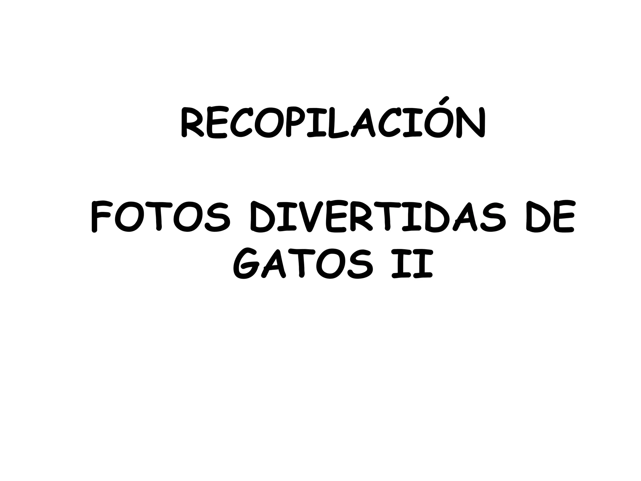 RECOPILACIÓN FOTOS DIVERTIDAS DE GATOS II