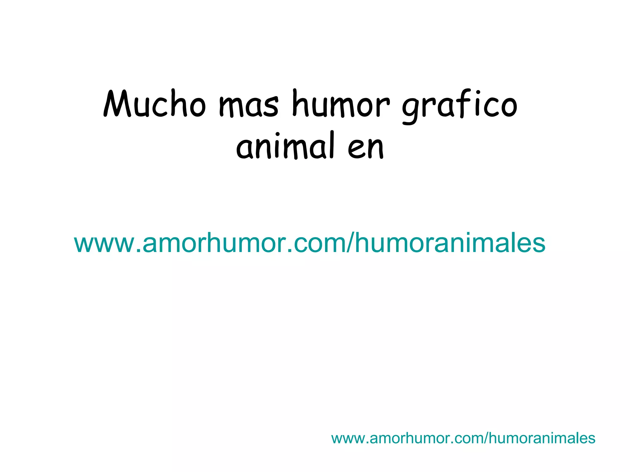 Mucho mas humor grafico animal en www.amorhumor.com / humoranimales www.amorhumor.com / humoranimales