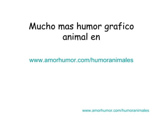 Mucho mas humor grafico animal en www.amorhumor.com / humoranimales www.amorhumor.com / humoranimales 