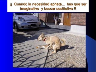 MG Production
¡¡ Cuando la necesidad aprieta... hay que ser¡¡ Cuando la necesidad aprieta... hay que ser
imaginativo y buscar sustitutivo !!imaginativo y buscar sustitutivo !!
 