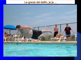MG Production
La gracia del delfín, ja ja ...La gracia del delfín, ja ja ...
 