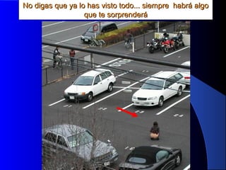 MG Production
No digas que ya lo has visto todo... siempre habrá algoNo digas que ya lo has visto todo... siempre habrá algo
que te sorprenderáque te sorprenderá
 