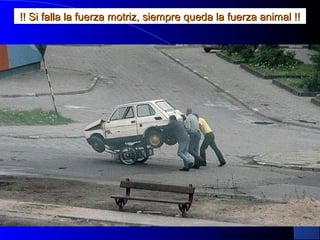 MG Production
!! Si falla la fuerza motriz, siempre queda la fuerza animal !!!! Si falla la fuerza motriz, siempre queda la fuerza animal !!
 