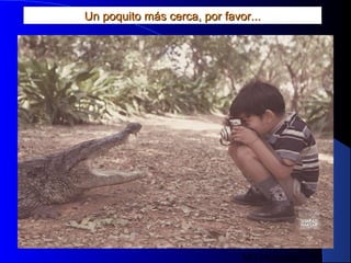 MG Production
Un poquito más cerca, por favor...Un poquito más cerca, por favor...
 