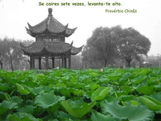 Se caires sete vezes, levanta-te oito. Provérbio Chinês 