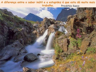 A diferença entre o saber inútil e a estupidez é que esta dá muito mais trabalho. Provérbio Sueco 
