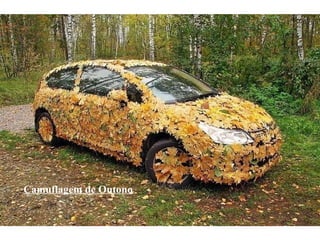 Camuflagem de Outono 