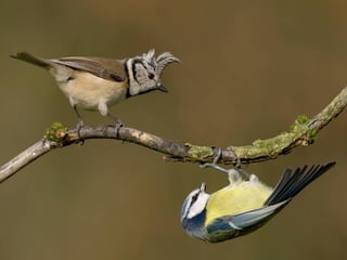 Fotos excepcionales 3