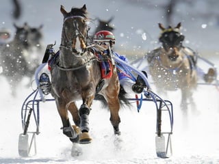 Fotos excepcionales 3