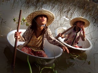 Fotos excepcionales 3