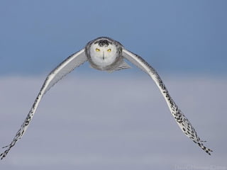 Fotos excepcionales 3