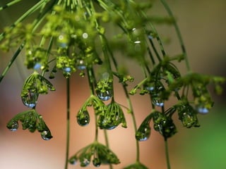 Fotos excepcionales 3