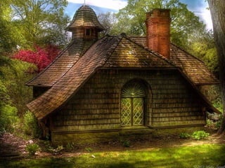 Fotos excepcionales 3