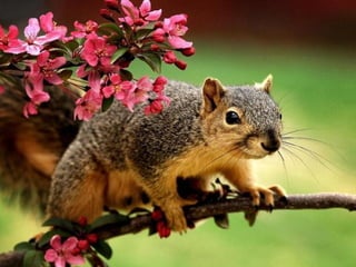 Fotos excepcionales 3